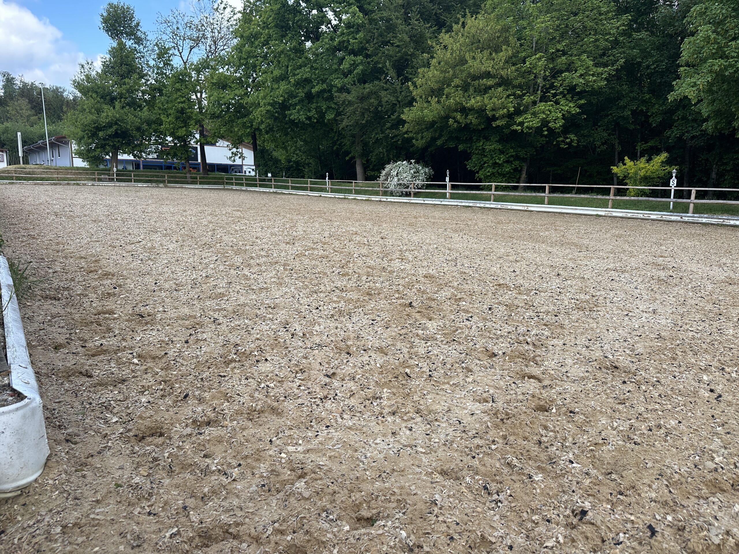 Foto: Geschädigter Reitboden